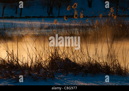 Le brouillard augmente à un lac glacé pendant le coucher du soleil Banque D'Images