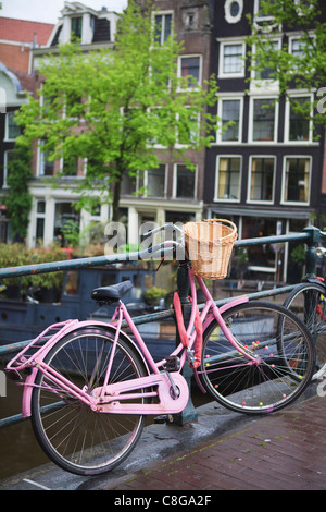 Location rose, Brouwersgracht, Amsterdam, Pays-Bas Banque D'Images