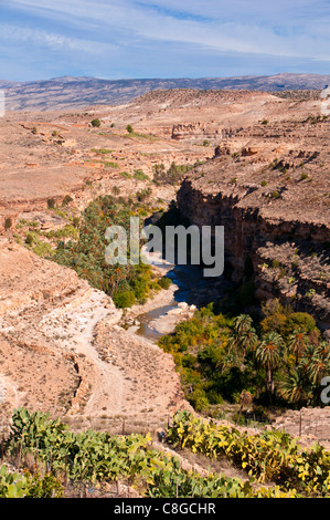 Canyon magnifique balcon de Ghoufi, Montagnes des Aurès, l'Est de l'Algérie, l'Algérie, l'Afrique du Nord Banque D'Images