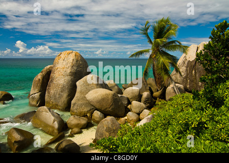 Les roches de granit et de palmiers, Mahe, Seychelles, océan Indien Banque D'Images