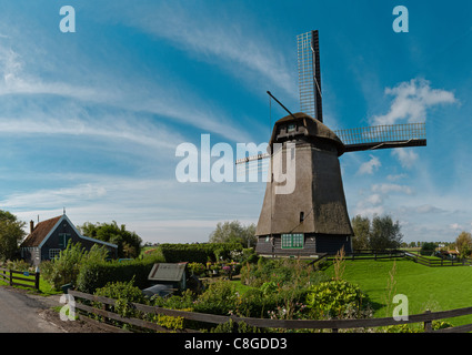 Pays-bas, Europe, Hollande, Zuid-Schermer, Moulin K, polder, De Schermer, moulin, fleurs, automne, jardin, Banque D'Images