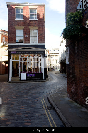 Boutique de la Terre de gingembre vert, Hull, Yorkshire, Angleterre Banque D'Images