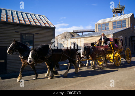 Une équipe de chevaux Clydesdale tirez une diligence dans une ville minière. Banque D'Images