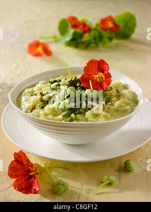 Risotto au Pesto de Capucine Banque D'Images