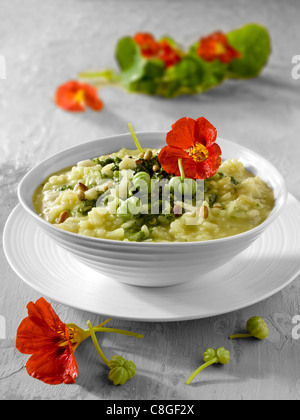 Risotto au Pesto de Capucine Banque D'Images