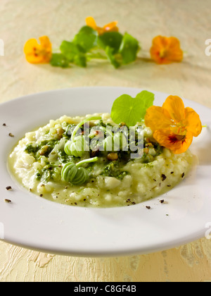 Risotto au Pesto de Capucine Banque D'Images