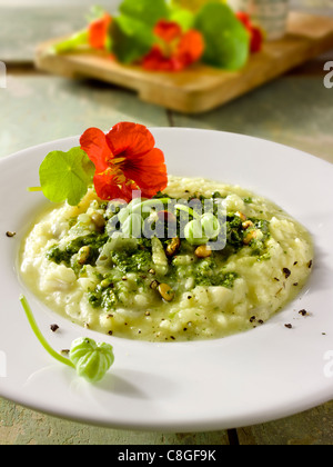 Risotto au Pesto de Capucine Banque D'Images