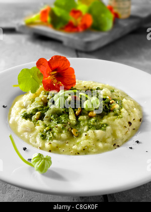 Risotto au Pesto de Capucine Banque D'Images