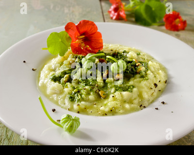 Risotto au Pesto de Capucine Banque D'Images