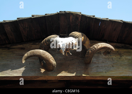 Crâne par-dessus la porte de Jomsborg Vikings forteresse, Varsovie, Pologne Banque D'Images