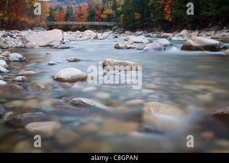 Branche est de la rivière Pemigewasset pendant les mois d'automne dans la région de Lincoln, New Hampshire, USA Banque D'Images