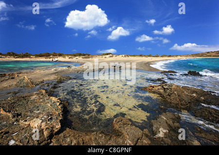 L'extrémité sud-est de l'île de Chrissi, une petite île exotique,, 8 miles au sud d'Ierapetra, Lassithi, Crète, Grèce Banque D'Images