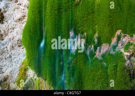 Gole della Breggia, Suisse, Europe, canton du Tessin, Gulch, rock, falaise de tuf, pierre, l'eau, mousse, mousse rembourreur Banque D'Images