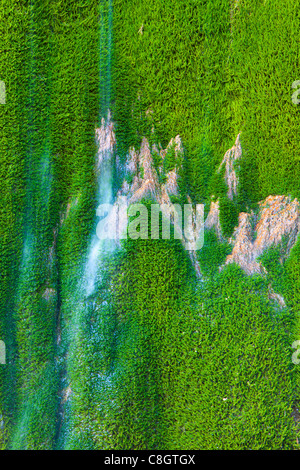 Gole della Breggia, Suisse, Europe, canton du Tessin, Gulch, rock, falaise de tuf, pierre, l'eau, mousse, mousse rembourreur Banque D'Images