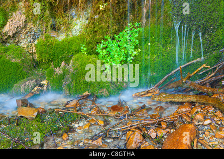 Gole della Breggia, Suisse, Europe, canton du Tessin, Gulch, rock, falaise de tuf, pierre, l'eau, mousse, mousse rembourreur Banque D'Images