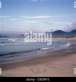 Florianopolis, Brésil. Praia da Joaquina plage pour les surfeurs avec la Forêt Tropicale Atlantique derrière. L'État de Santa Catarina. Banque D'Images