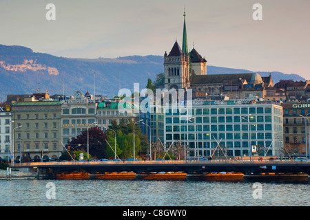 Genève, Suisse, Europe, dans le canton de Genève, ville, Ville, Lac, genevois, Leman, maisons, maisons, église, cathédrale, Saint Pierre Banque D'Images