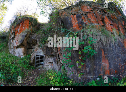 La coloration orange sur un affleurement calcaire rare de magnésium avec un enclos pot trou dans le Derbyshire, Angleterre, RU Banque D'Images