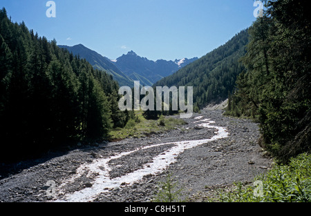 Val Trupchun, Engadine, Suisse, canton des Grisons, l'Ova Trupchun, parc national, vallée, Brook, Beck, rigole, gravats, landsca Banque D'Images