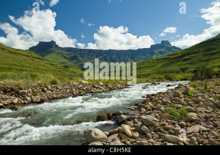 Voir l'amphithéâtre de montagnes du Drakensberg à partir de la rivière Tugela ci-dessous, Afrique du Sud Banque D'Images