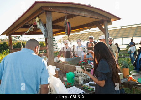 Visiteurs acheter produire à Shephard Farm, Carpinteria, en Californie, États-Unis d'Amérique Banque D'Images
