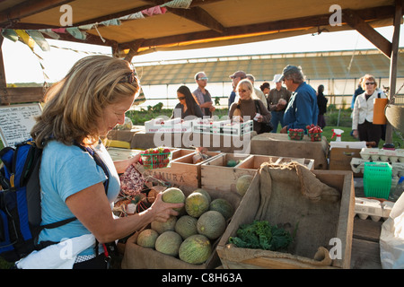 Visiteurs acheter produire à Shephard Farm, Carpinteria, en Californie, États-Unis d'Amérique Banque D'Images