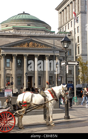 Une calèche s'arrête en face de la Banque de Montréal siège social dans l'ancien quartier de Montréal Montréal, Canada Banque D'Images