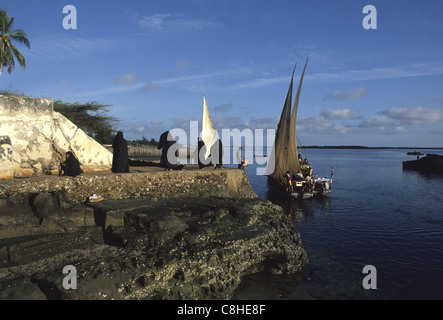 L'île de Lamu, Kenya, Afrique, côte, bateaux à voile, Banque D'Images