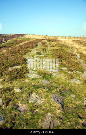 Voie romaine localement appelé Wade's Causeway crossing Wheeldale Moor, North Yorkshire Moors, Angleterre Banque D'Images