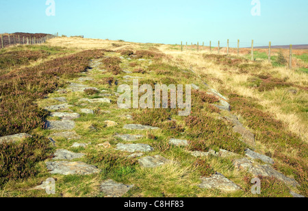 Voie romaine localement appelé Wade's Causeway crossing Wheeldale Moor, North Yorkshire Moors, England, UK Banque D'Images