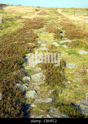 Voie romaine localement appelé Wade's Causeway crossing Wheeldale Moor, North Yorkshire Moors, Angleterre Banque D'Images