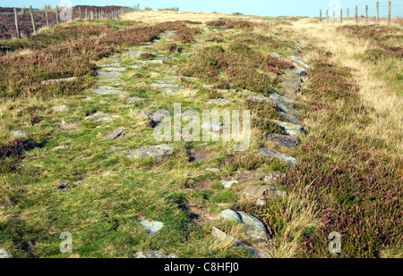 Voie romaine localement appelé Wade's Causeway crossing Wheeldale Moor, North Yorkshire Moors, Angleterre Banque D'Images