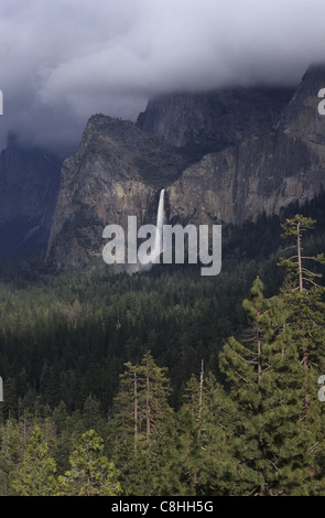 La vallée Yosemite, paysage, Yosemite National Park, California, USA, United States, Amérique, Banque D'Images