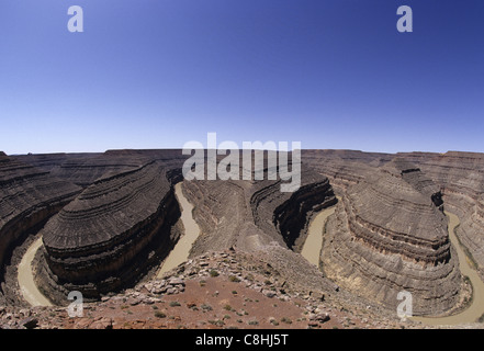 Grand col de cygne, San Juan river, rivière, rochers, du paysage, de l'Utah, USA, United States, Amérique, Banque D'Images