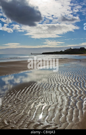 À au sud de Long Sands Beach à Cullercoats vers Tynemouth, North Tyneside, Angleterre Banque D'Images