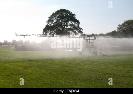 Système d'arrosage automatique Briggs sur l'hippodrome de Warwick, Royaume-Uni Banque D'Images