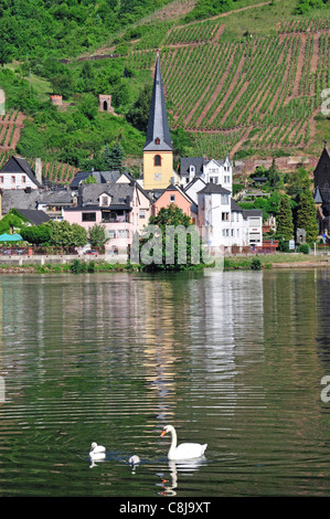 Alf, Cochem, Allemagne, Europe, les paysages le long de la rivière, de la Moselle, village, Palatinat Banque D'Images