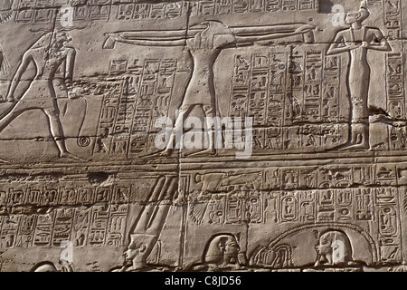 Travail de soulagement montrant Khnoum dieux Thot dans une salle hypostyle du Temple de Karnak à Louxor, Egypte Banque D'Images