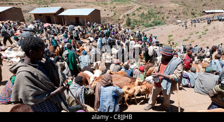 Des foules de gens se rassemblent à Usketna marché sur la route de montagne entre Lalibela et Korem, dans le Nord de l'Ethiopie, l'Afrique. Banque D'Images