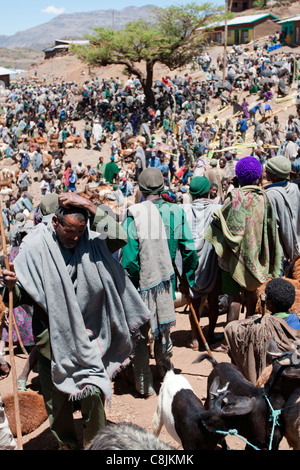 Des foules de gens se rassemblent à Usketna marché sur la route de montagne entre Lalibela et Korem, dans le Nord de l'Ethiopie, l'Afrique. Banque D'Images