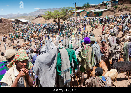 Des foules de gens se rassemblent à Usketna marché sur la route de montagne entre Lalibela et Korem, dans le Nord de l'Ethiopie, l'Afrique. Banque D'Images