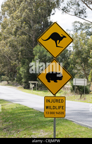 Kangaroo et Wombat road sign photographié à Victoria, Australie Banque D'Images