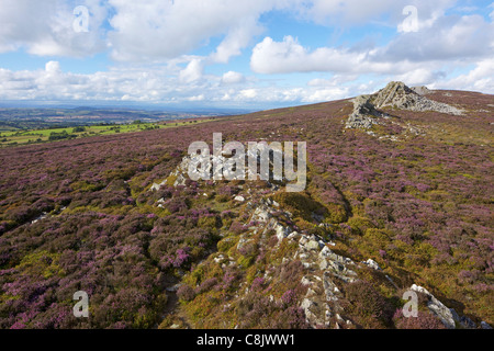 Soleil de l'été sur les Stiperstones, Shropshire, England, UK, Royaume-Uni, GO, Grande-Bretagne, British Isles, Europe Banque D'Images