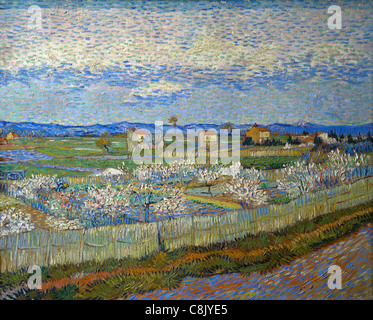 La Crau avec Peach Trees à Blossom, par Vincent van Gogh, 1889, Courtauld Gallery, Londres, Angleterre, Royaume-Uni, GB, Banque D'Images