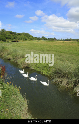 Croisière sur la rivière des cygnes Cuckmere à Alfriston, East Sussex, Angleterre. Banque D'Images