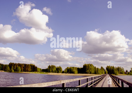 Passerelle en bois avec mains courantes sur le lac. Forêt dans la distance et le ciel nuageux. Banque D'Images