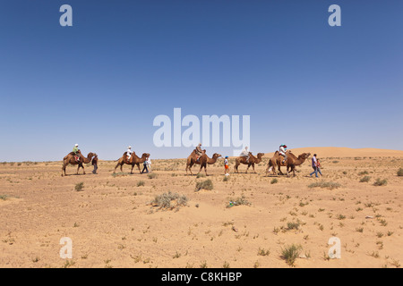 Caravane de chameaux qui serpente à travers les sables du désert de Gobi en Mongolie Banque D'Images