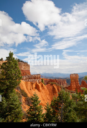 Roches rouges de Bryce Canyon Banque D'Images