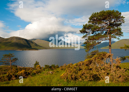 Le loch et les montagnes de Quoich Knoydart, Glen Garry, région des Highlands, Ecosse, Royaume-Uni Banque D'Images