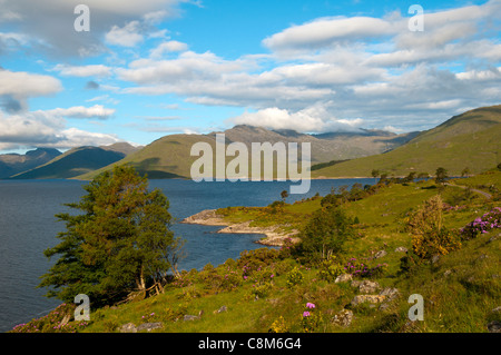 Loch Quoich, Glen Garry, région des Highlands, Ecosse, Royaume-Uni Banque D'Images